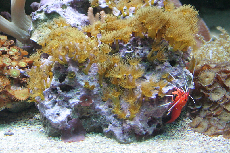 Killikus&reg; Fotographie